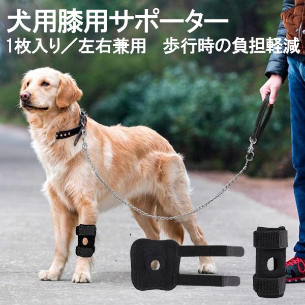 「カラー」ブラック(黒)「サイズ」Sサイズ (9cm*9.5cm)、Mサイズ (11cm*11cm)、Lサイズ (12.5cm*14cm)「商品紹介」関節の負担を減らし、ケガや術後のデリケートな部位をしっかり守るペット用関節プロテクターです...