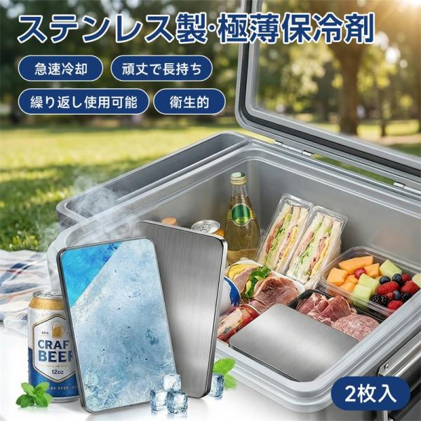2026年新発売 保冷剤 ステンレス保冷剤 2枚入り 長持ち ステンレス 強力 保冷 クーラーボックス 小型 冷蔵冷凍対応 保冷パック コンパクト お弁当 釣り キャンプ