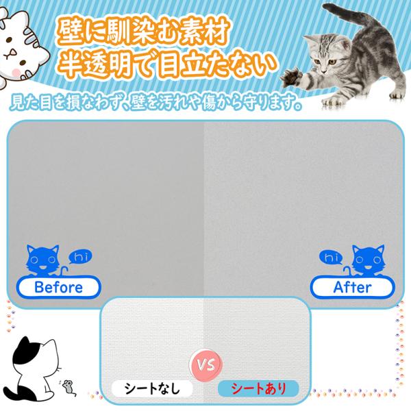 zagatena_oktbdck36_4_d_20240103114404