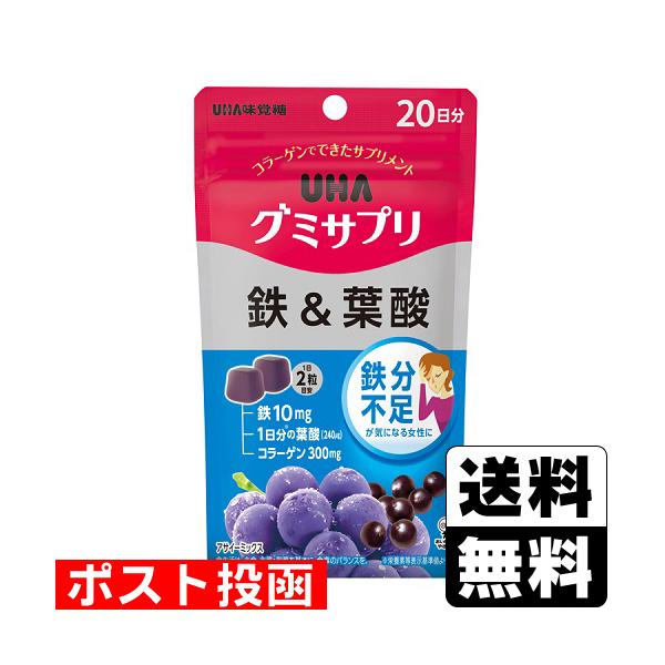 【送料無料】/サプリメント/鉄分
