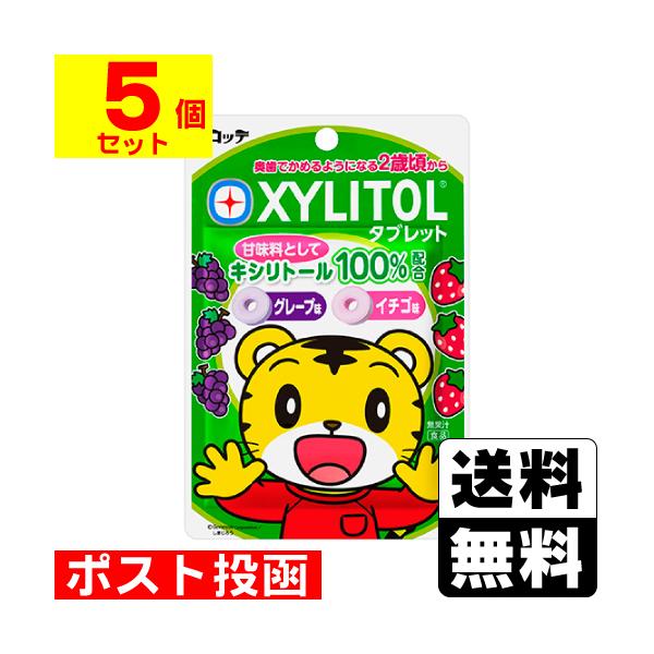 【送料無料】/ハミガキ後/シュガーレス/グレープ味/イチゴ味