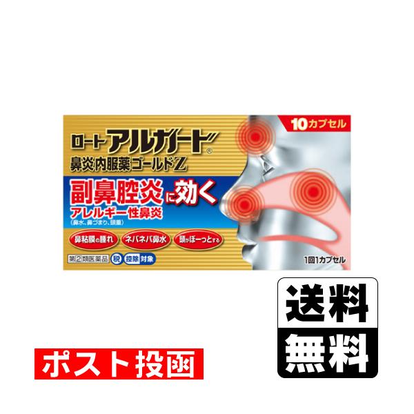 【送料無料】/アレルギー性鼻炎/副鼻腔炎