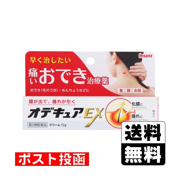 【送料無料】/おでき/できもの/めんちょう/とびひ