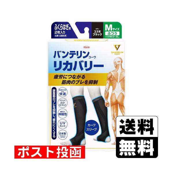 【送料無料】/サポーター/ふくらはぎ/足首