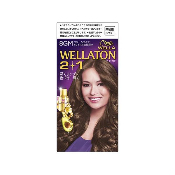 EGg[ 2+1(c[vX) N[^Cv 8GM 薾邢}bguE 1Zbg