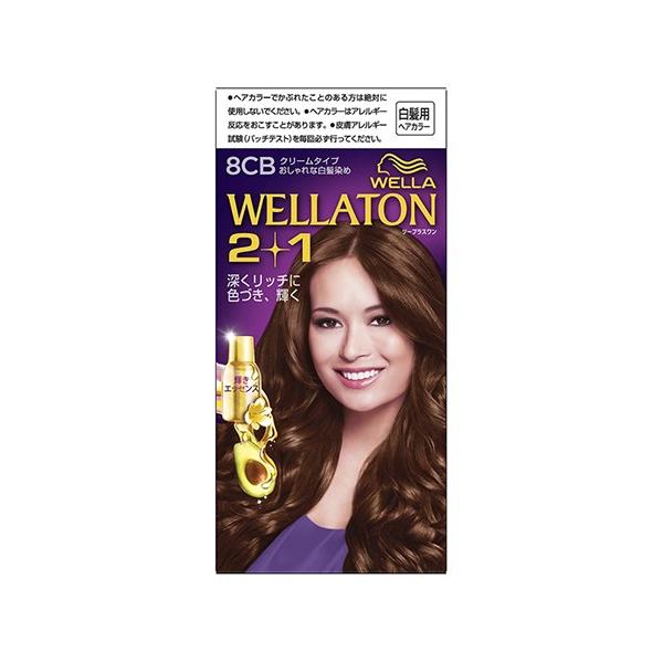 EGg[ 2+1(c[vX) N[^Cv 8CB 薾邢i`uE 1Zbg