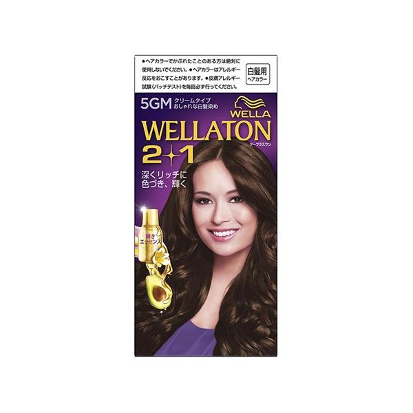 EGg[ 2+1(c[vX) N[^Cv 5GM Rȃ}bguE 1Zbg