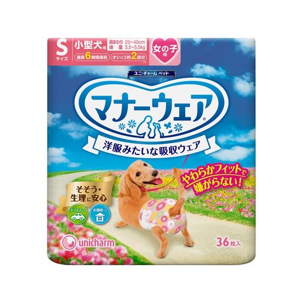 (j`[ybg)}i[EFA ̎qp STCY 36