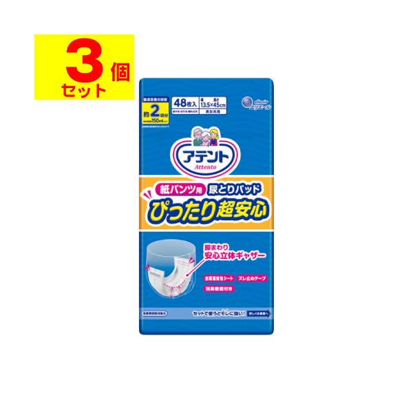 ()(剤)Aeg pcp AƂpbh ҂蒴S 2z 48(1P[X(3))sLZs()