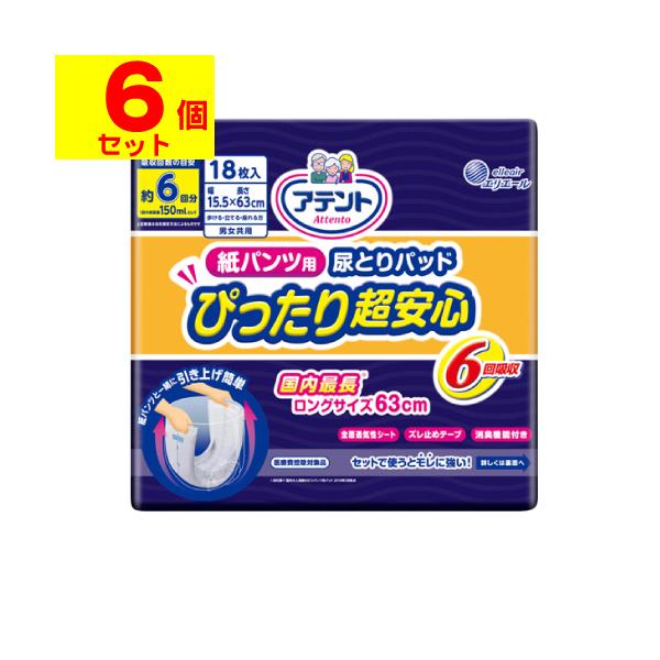 ()(剤)Aeg pcp AƂpbh ҂蒴S 6z 18(1P[X(6))sLZs()