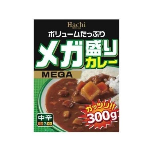メガ盛りカレー 中辛 300g