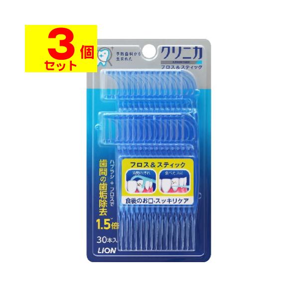 【送料無料】/デンタルケア/オーラルケア/歯間ブラシ/デンタルフロス/糸ようじ/柄付き/ホルダー付きタイプ/歯と歯の間