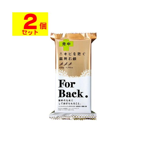 【送料無料】/背中/デコルテ/石けん