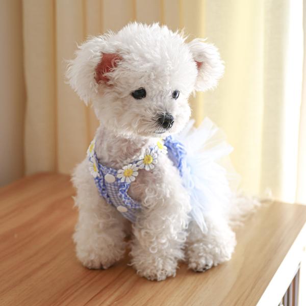 犬服 春夏 犬 レースワンピース 花 春 レース 服 犬の服 ドッグウェア