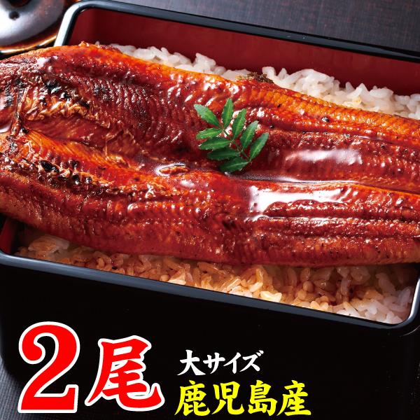 養殖うなぎ生産量日本一の鹿児島産うなぎの蒲焼を1尾ずつ真空パックにしてお届けします。鹿児島のきれいな水で、餌にまでこだわって養殖されたうなぎは、こんがり香ばしく、身もふっくらでやわらか！上質な脂がのった、おいしいうなぎの蒲焼をお愉しみくださ...