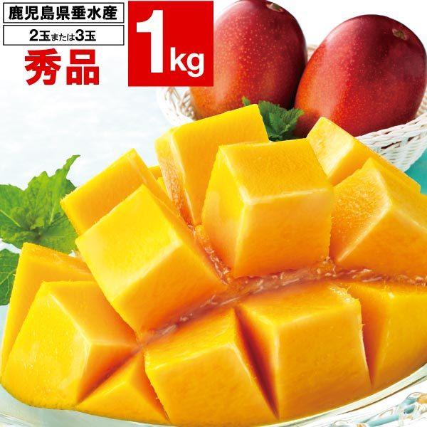 財宝 マンゴー お中元 ギフト 温泉マンゴー 秀品 1kg (2〜3玉) 鹿児島