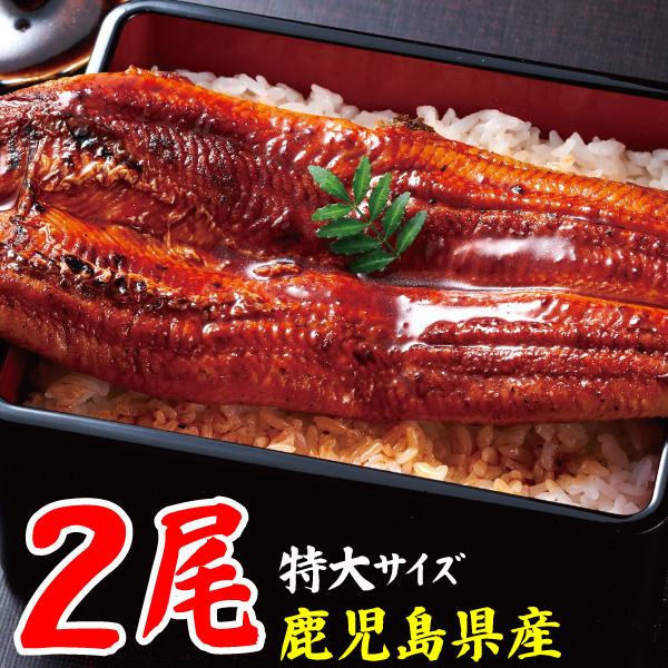 お中元 ポイント2倍 最短当日出荷 3 400円 尾 うなぎ 国産 鹿児島 産 特大 うなぎ 蒲焼き 2尾 セット 冷凍 ギフト お取り寄せ 財宝公式通販 Paypayモール店 通販 Paypayモール