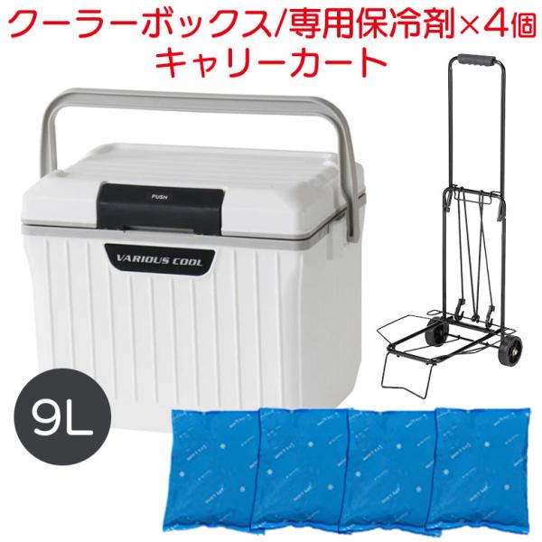 クーラーボックスセット クーラーボックス＋専用保冷剤＋キャリーカートセット 小型 9L 保冷バッグ 保冷力 氷点下保冷剤 長時間 アウトドア 折りたたみ 送料無料