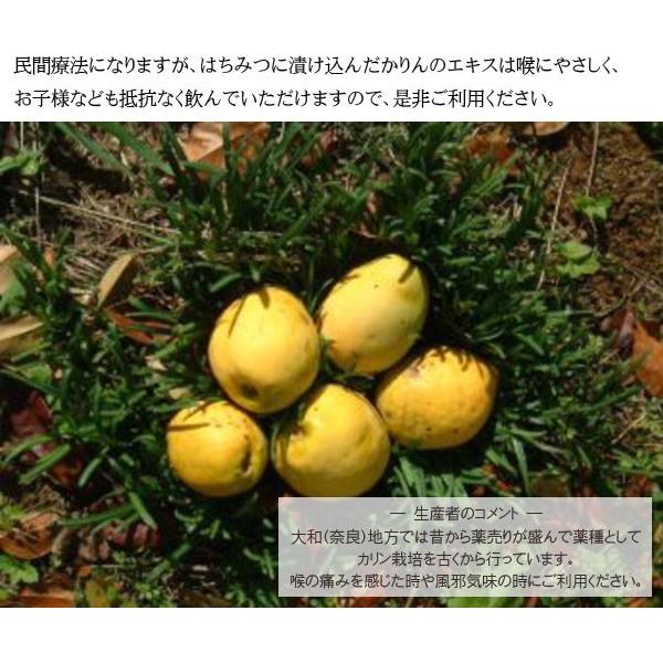 かりんの蜂蜜漬350g かりん はちみつ漬け カリン 花梨 ハチミツ 花梨蜂蜜漬 のど 奈良県 送料無料 Buyee 日本代购平台 产品购物网站大全 Buyee一站式代购 Bot Online
