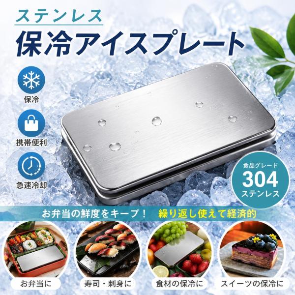ステンレス保冷剤 冷却プレート クーラー板 304ステンレス 軽い 軽量 携帯用 即冷 長時間 保鮮プレート 持ち運び可能 クーラーバッグ 食材 冷やす 新作