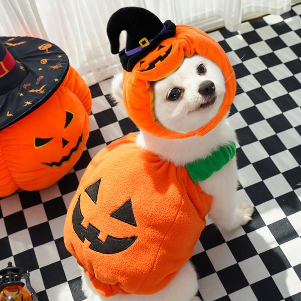 ハロウィン 衣装 猫服 犬服 仮装 可愛いサンタクロース ペット服 カボチャ 可愛い ハロウィン 猫 犬 変身コスチューム 人気 わんちゃん