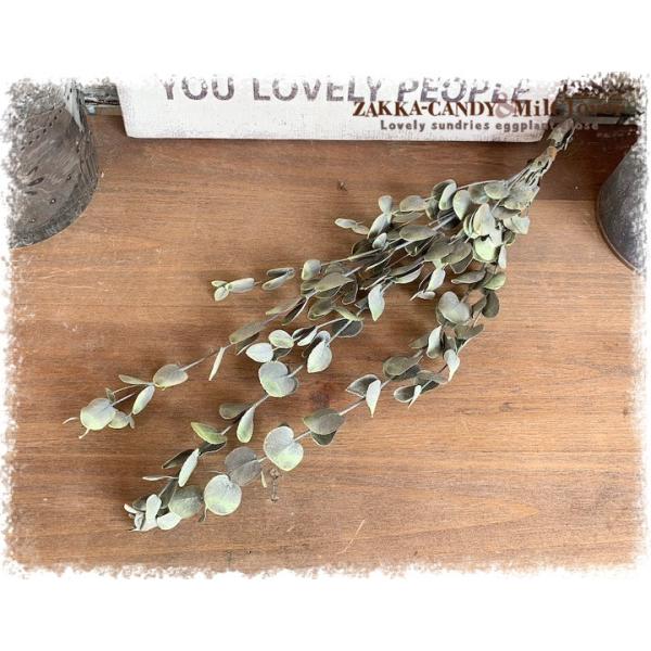 ドライフラワー ハンドメイド 材料 リース スワッグ おしゃれ インテリア Diy グニー ユーカリ ウォッシュグリーン1 3 Buyee Buyee 日本の通販商品 オークションの代理入札 代理購入