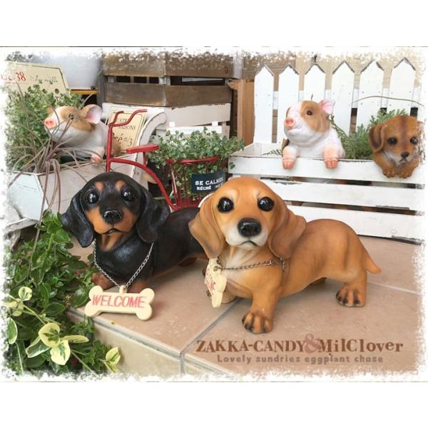 可愛いわんこの置物 ダックスフンド ダックスフント 犬 置物 ガーデン 雑貨 ラブリーwelcome ウェルカム ダックス Buyee Buyee Japanese Proxy Service Buy From Japan Bot Online