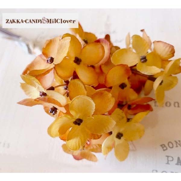 tFCNO[   CeAO[ i`K[f  CeA G i` /XiOToh (13{)