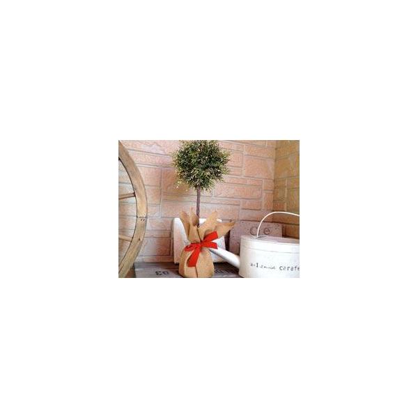 NX}Xc[ Christmas fBXvC NX}X I[ig  킢 i` CeA k  / xmasgsA[