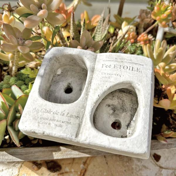 多肉植物をちょこちょこっと可愛く寄せ植えに、ロングセラーのフラワーポット。アンティークな洋書をイメージして作られたブック型プランター。お手頃価格でプロヴァンス風なデザインがガーデンをおしゃれな雰囲気にしてくれますよ。size：W12×L8....