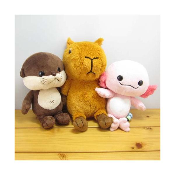 みずべくらぶ ビーンドール アンチョビ カワウソ ぬいぐるみ かわいい 動物 水族館 雑貨 Buyee Buyee Japanese Proxy Service Buy From Japan Bot Online