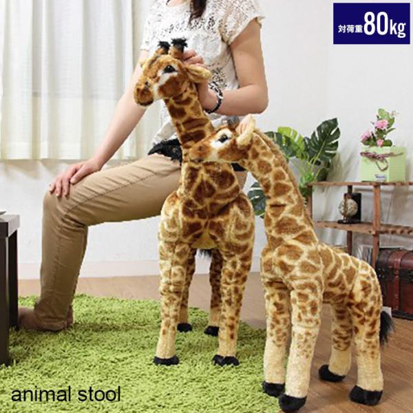 zakka-gu-plus-mkt_m5-mgkfgb00081