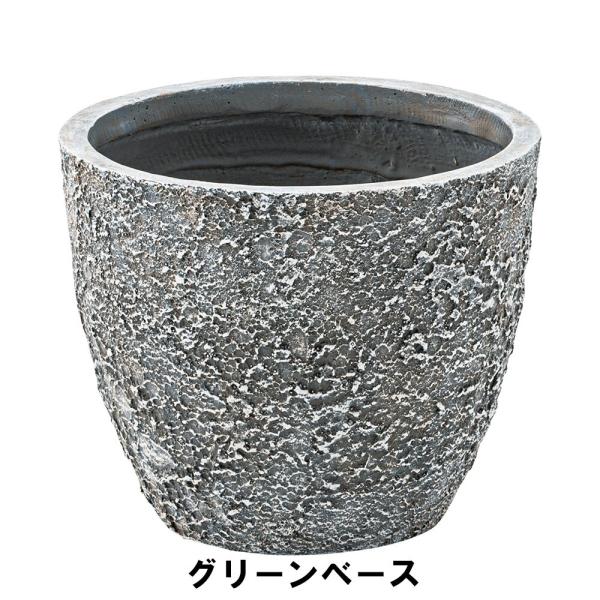 A O[x[X 31 s31 25cm K[f K[fpi Aؔ v^[