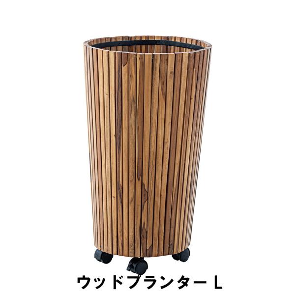 Ebhv^[ L 39 65cm K[f K[fpi Aؔ v^[