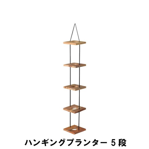 nMOv^[ 5i 20 s20 112cm K[f K[fpi Aؔ v^[