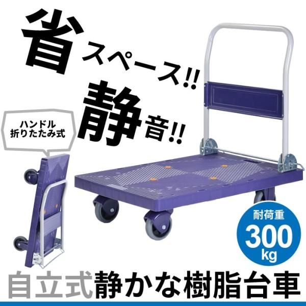 ylz  É ύڏdʁF300kg  Â y RpNg 