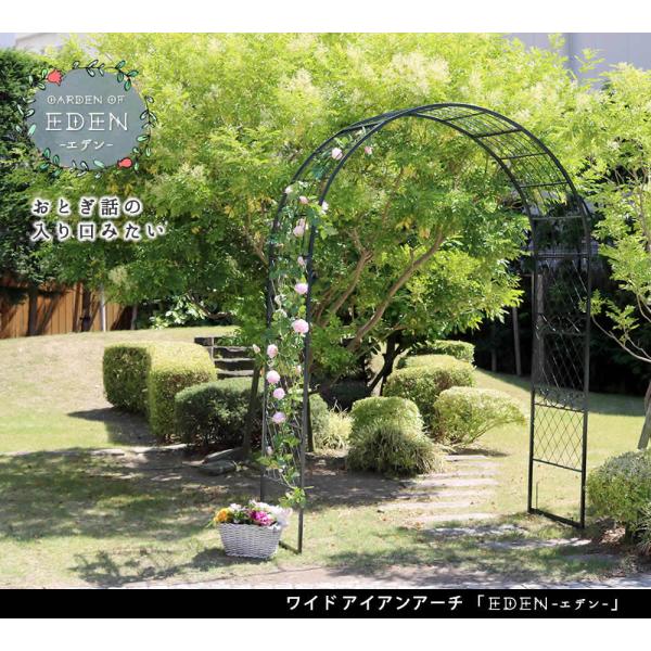アーチ ガーデン ワイドアイアンアーチ IA-ED001GRN