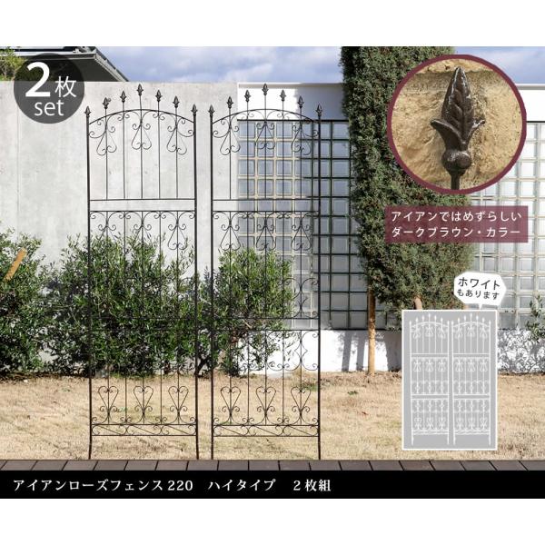 フェンス アイアンフェンス　アイアンローズフェンス220 ハイタイプ 2枚組 ガーデニング用品 RS013H-2P