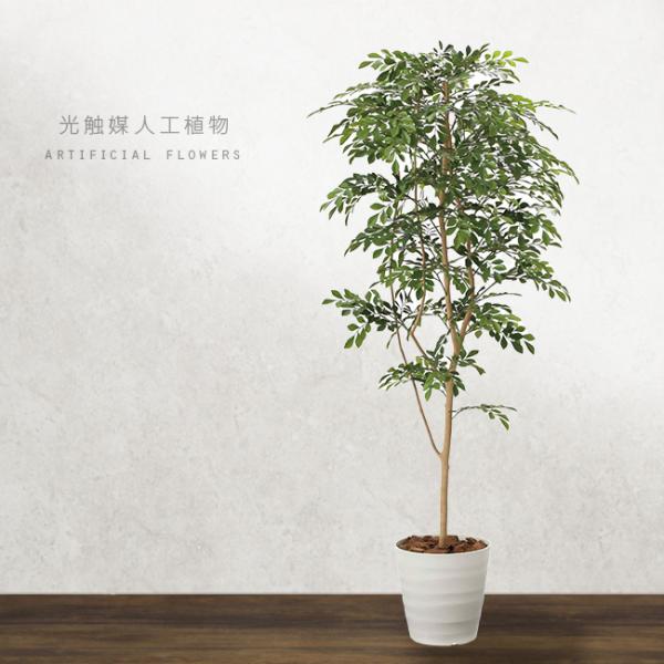 ◇日本製◇◇◇フェイクグリーン コーヒーツリー1.8 高さ1.8m 光の楽園 光触媒 光の楽園 コーヒーツリー 高さ 1.8m 【インテリア