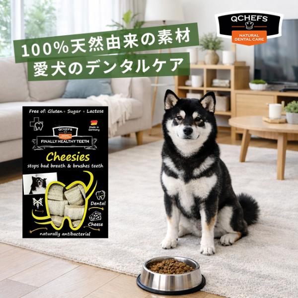 QCHEFS(キューシェフス)Cheesies チージ