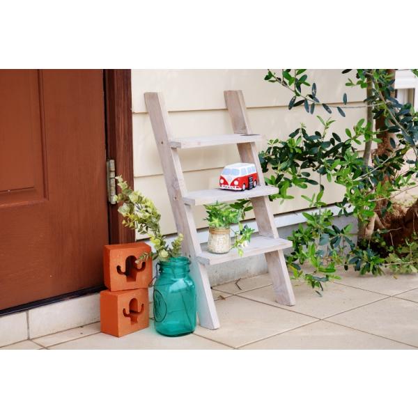 zakka-olive_11782