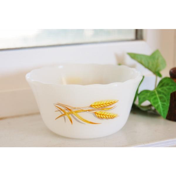 zakka-olive_8487