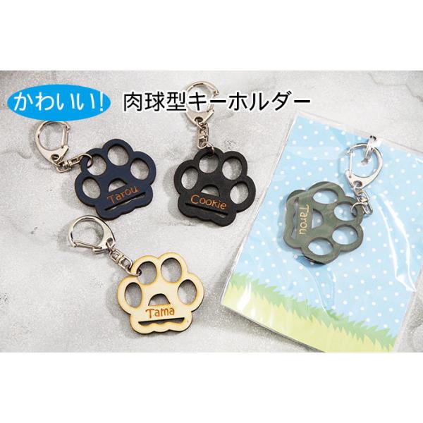 zakka-puropella_20210601-01