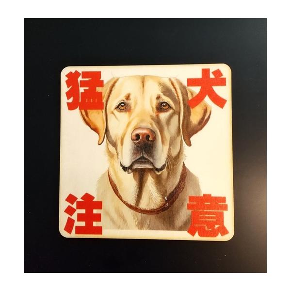 zakka-puropella_2023-1122-04