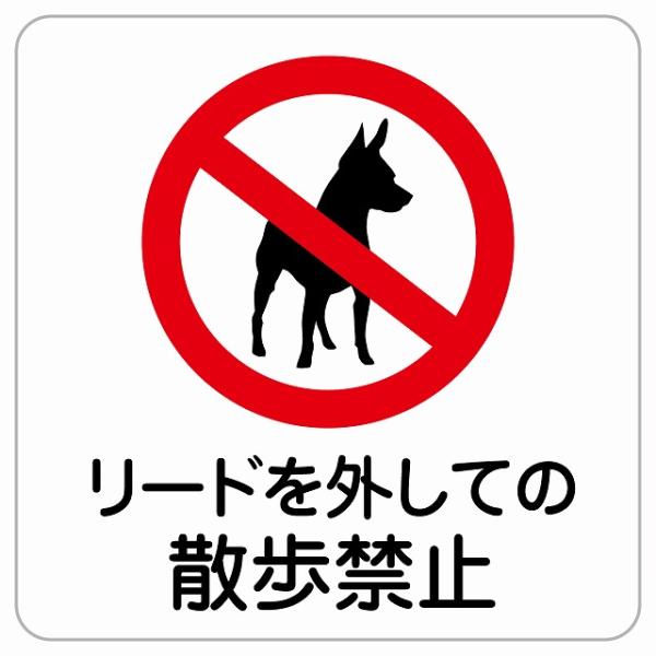 ペットと散歩 insta360で犬の散歩を撮影！ペットハーネスマウントと対応機種を解説