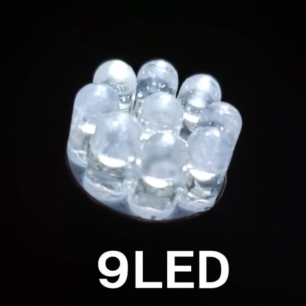 zakkaking_cl014_5_d_20260307201107