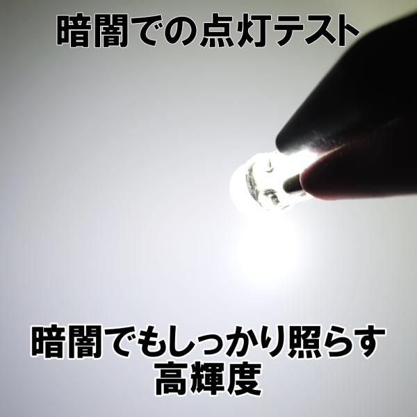 zakkaking_cl028_14_d_20260401165459