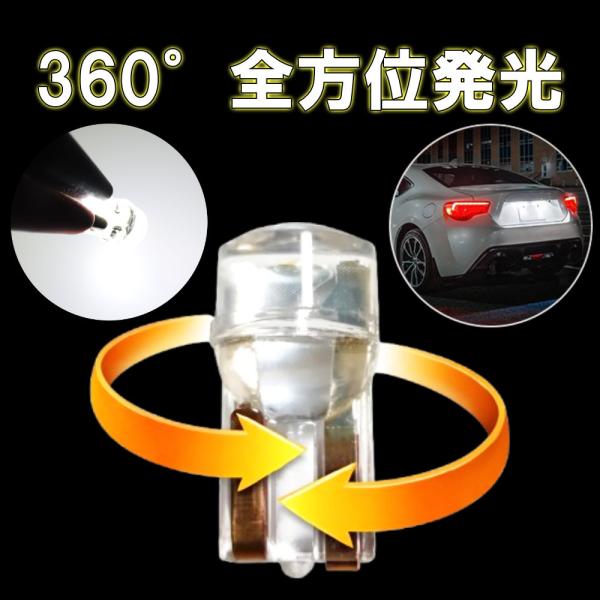 zakkaking_cl028_17_d_20260401152547