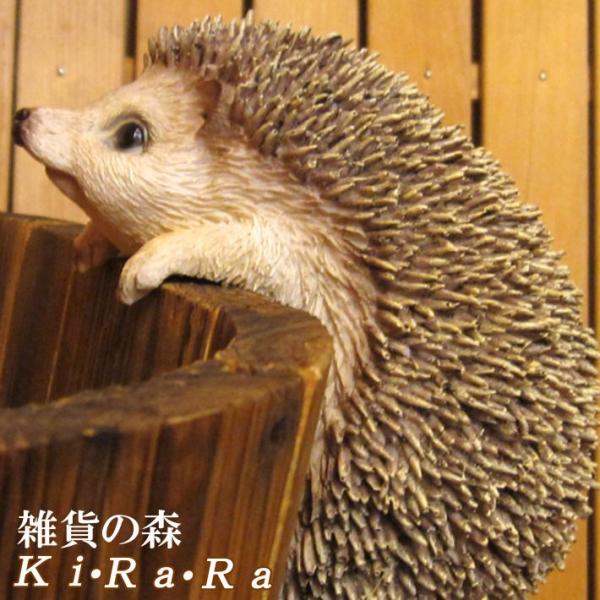 zakkakirara_0000000235
