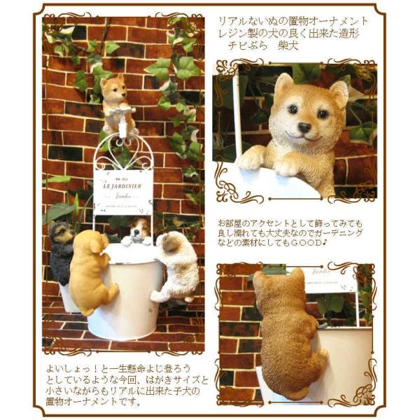 犬の置物 柴犬 リアルな犬の置物 チビぶらドッグ 子いぬのフィギア イヌのオブジェ ガーデニング 玄関先 陶器 Buyee Buyee Japanese Proxy Service Buy From Japan Bot Online